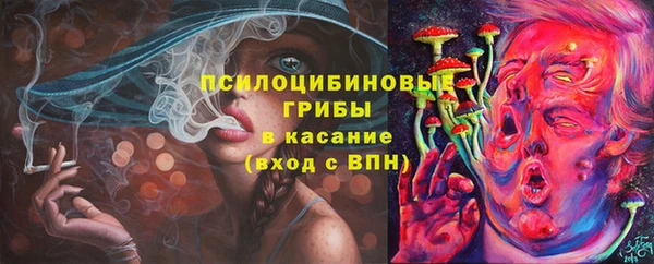 2c-b Верхнеуральск